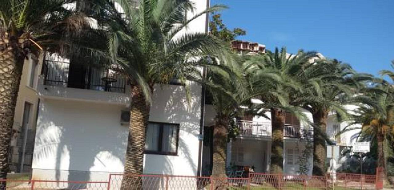 6 Palmi Budva